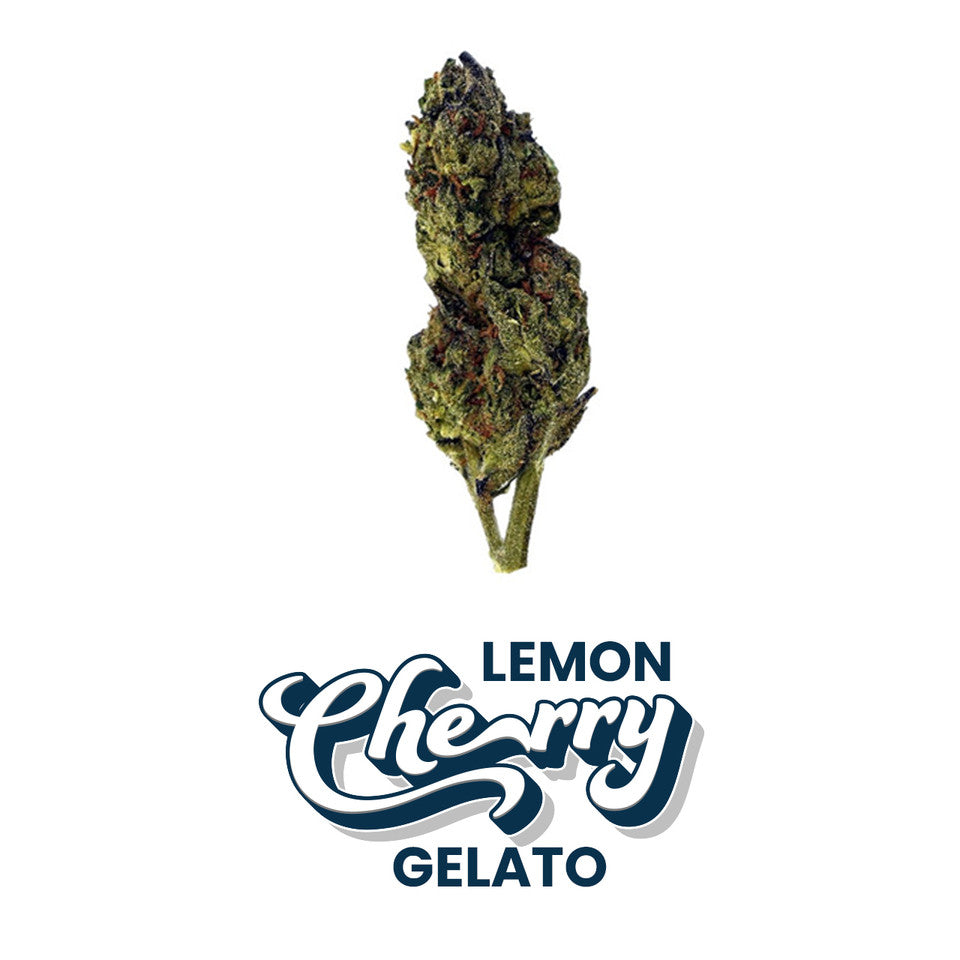 Lemon Cherry Gelato