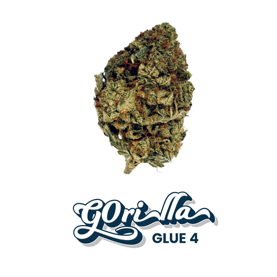 Gorilla Glue 4