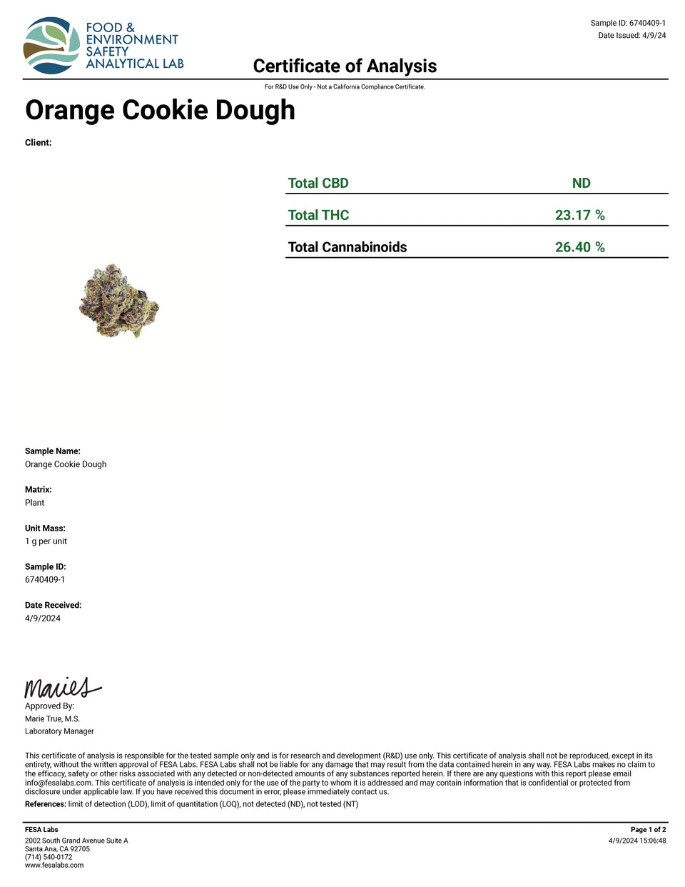 Orange Cookie Dough